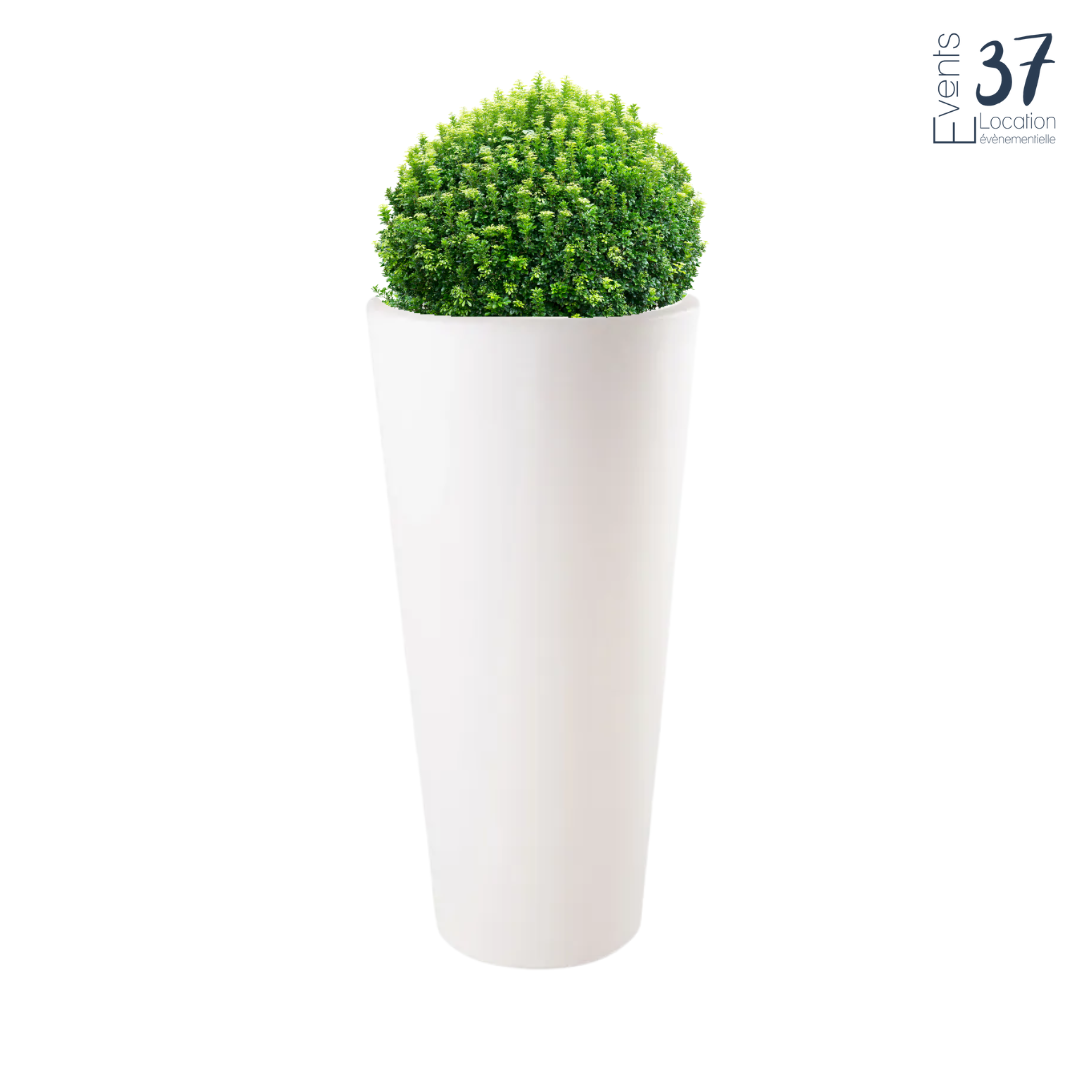 Vase Conique Lumineux