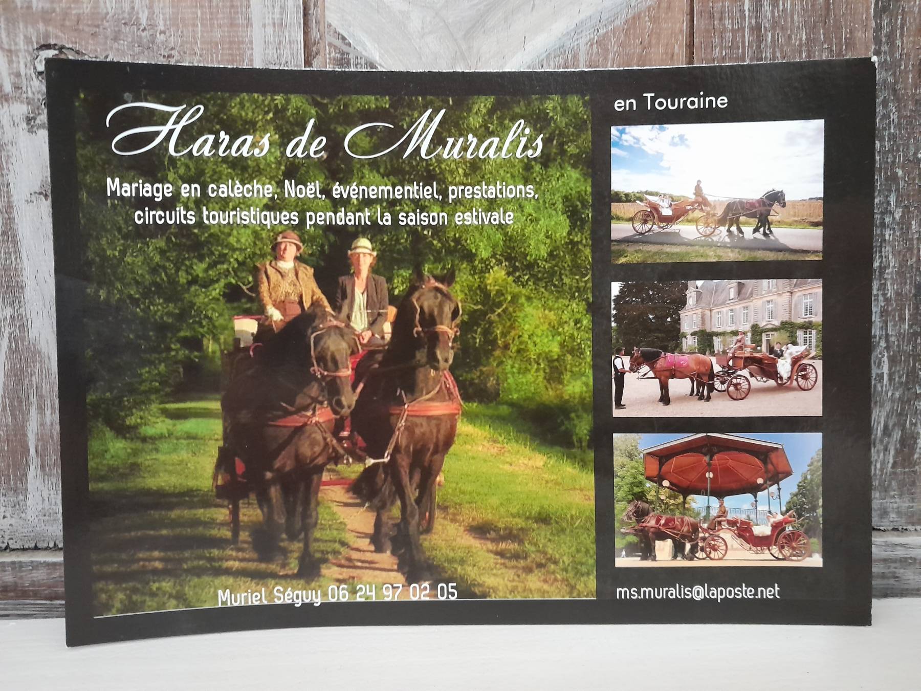 Haras De Muralis